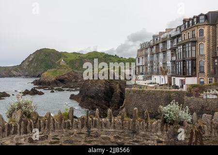 Historische Häuser in Ilfracombe, Devon. Stockfoto