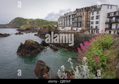 Historische Häuser in Ilfracombe, Devon. Stockfoto