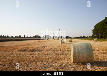 Hay bundes auf einem geernteten Weizenfeld im Vordergrund Bauarbeiten für Familienhäuser im Hintergrund. Symbol für neue Häuser in der Nähe countrysi Stockfoto