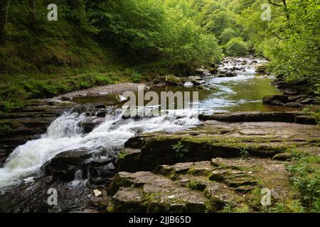 Weg nach Watersmeet, Lynmouth, Devon Stockfoto