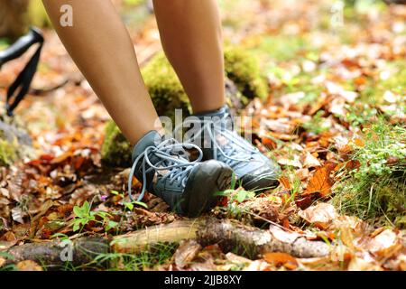 Nahaufnahme eines Wanderers, der in einem Wald mit einer Verstauchung am Knöchel stolpert Stockfoto