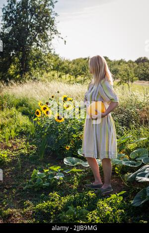 Bäuerin mit Sommerkleid mit gelbem Kürbis im Garten. Bio-Gartenarbeit Stockfoto