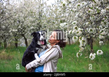 Frau und ihr Hund sind glücklich, im Freien zusammen zu sein. Tierbesitzerin hält ihren Border Collie im Frühlingsgarten. Freundschaft zwischen Tier und Mensch. Stockfoto