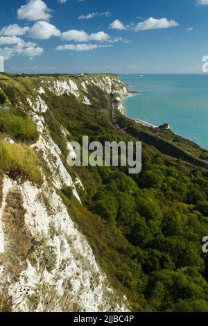 Blick auf East Cliff & den Warren Country Park, die Bahnlinie an der Küste, Kreidefelsen und Wälder, Folkestone, Kent, Großbritannien im September. Stockfoto