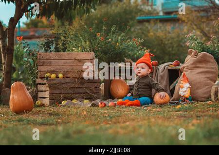 Halloween. Niedliches Kleinkind Junge in Kostüm von Zwerg sitzt in Küche-Garten. Kürbisse und Holzkisten auf dem Hintergrund. Stockfoto