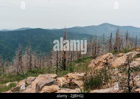 Hohe Berge Russlands, der Berg Falaza mit vom Wind gebrochenen Bäumen, Wald nach einem Brand Stockfoto