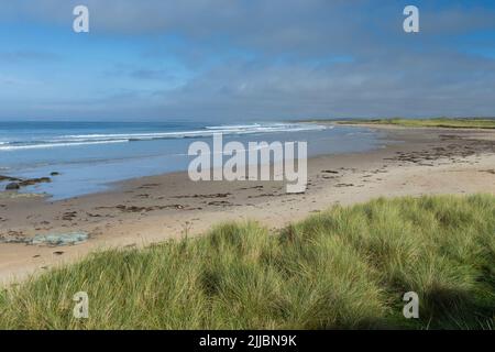 Landschaftsansicht von Küstendünen und Sandstrand, Laggan Bay, Islay, Schottland, Großbritannien im September 2017 Stockfoto