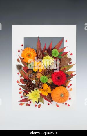 Thanksgiving Halloween und Herbst Hintergrund Rand mit Blättern, Blumen, Beeren und Nüssen. Natur Herbst Zusammensetzung mit natürlicher Flora. Weißer Rahmen. Stockfoto