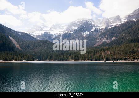Luftpanorama des smaragdgrünen Wassers eines hochalpinen Tovel-Sees, umgeben von bewaldeten und verschneiten Hängen, Ville d'Anaunia, Trentino, Italien Stockfoto