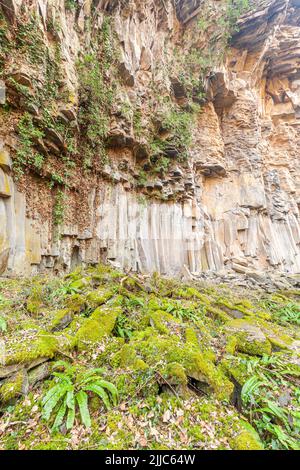 Basaltische Säulen in Sant Joan Les Fonts, Naturpark des Vulkangebiets La Garrotxa, Girona, Spanien Stockfoto