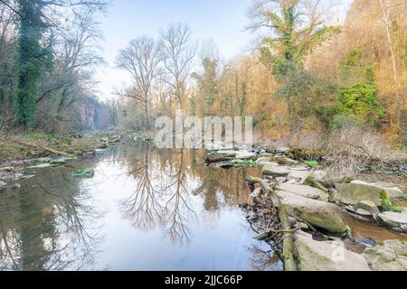 Basaltische Säulen in Sant Joan Les Fonts, Naturpark des Vulkangebiets La Garrotxa, Girona, Spanien Stockfoto