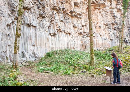 Basaltische Säulen in Sant Joan Les Fonts, Naturpark des Vulkangebiets La Garrotxa, Girona, Spanien Stockfoto