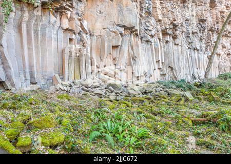 Basaltische Säulen in Sant Joan Les Fonts, Naturpark des Vulkangebiets La Garrotxa, Girona, Spanien Stockfoto