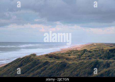 Große Dünen an der dänischen Nordseeküste. Hochwertige Fotos Stockfoto