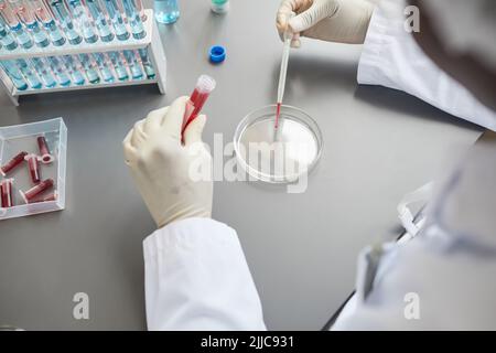 Draufsicht Nahaufnahme einer Technikerin, die die Testprobe während der Arbeit im medizinischen Labor vorbereitet, Kopierraum Stockfoto