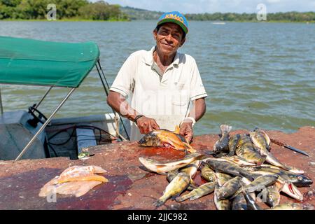 Fischer schneiden und füllen frisch gefangenen Fisch in Panama Stockfoto