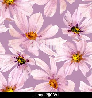 Aquarell von Hand gezeichnetes nahtloses Muster mit herbstblumen der cosmea. Isoliert auf weißem Hintergrund. Design für Einladungen, Hochzeiten oder Grußkarten Stockfoto