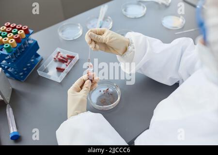 Seitenansicht Porträt einer Frau mit voller Schutzkleidung bei der Analyse von Blutuntersuchungen im Labor, Platz kopieren Stockfoto