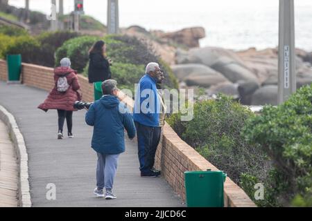 (220725) -- KAPSTADT, 25. Juli 2022 (Xinhua) -- am 13. Juli 2022 beobachten Menschen Wale in Kapstadt, Südafrika. DAZU „Feature: Die Leidenschaft für Wale bringt die Einwohner Kapstadts in die Wissenschaft der Bürger“ (Xinhua/Lyu Tianran) Stockfoto