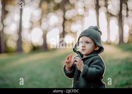 Porträt eines niedlichen kleinen Jungen mit gestricktem Hoodie im nautre Herbstkonzept. Stockfoto