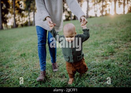 Mutter hält beim Gehen in der Natur die Hände ihres kleinen Sohnes, das Konzept der ersten Schritte des Babys. Stockfoto