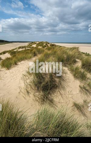 Sanddünen am Holkham Beach, Norfolk Stockfoto