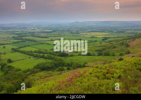 Landschaftsansicht von Carlton Bank mit Blick auf Roseberry Topping, North Yorkshire Moors National Park, England, Großbritannien. Stockfoto