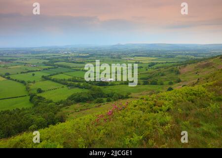 Landschaftsansicht von Carlton Bank mit Blick auf Roseberry Topping, North Yorkshire Moors National Park, England, Großbritannien. Stockfoto