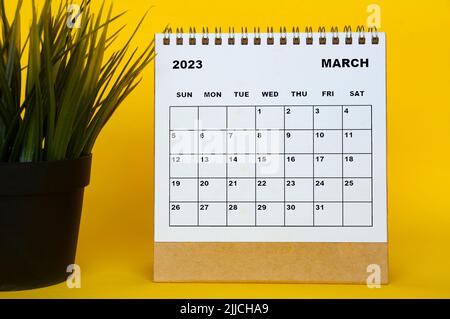 März 2023 Tischkalender mit Tischpflanze auf gelbem Hintergrund. Kalenderkonzept Stockfoto