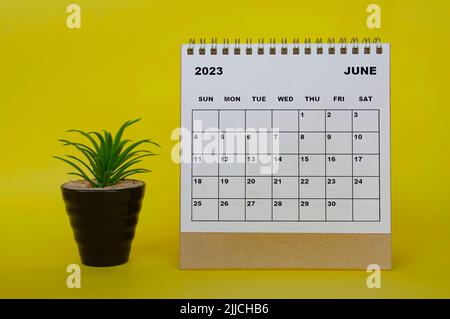 Juni 2023 Tischkalender mit Tischpflanze auf gelbem Hintergrund. Kalenderkonzept Stockfoto