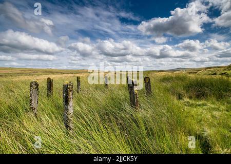 Betonschutzzaun in einem Kreis auf Denbighshire Moors North Wales zwischen Llyn Aled isaf und Llyn Aled Stockfoto