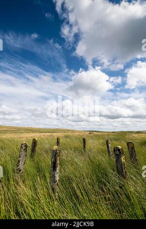 Betonschutzzaun in einem Kreis auf Denbighshire Moors North Wales zwischen Llyn Aled isaf und Llyn Aled Stockfoto