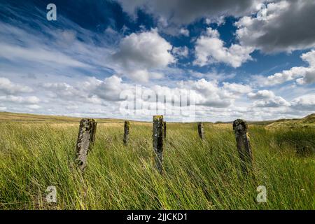 Betonschutzzaun in einem Kreis auf Denbighshire Moors North Wales zwischen Llyn Aled isaf und Llyn Aled Stockfoto