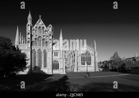 Blick auf die Kathedrale von Ely; Ely City; Cambridgeshire; England; Großbritannien Stockfoto