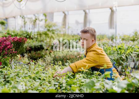 Ein glücklicher junger Mitarbeiter mit Down-Syndrom, der im Gartencenter arbeitet und sich um Blumen kümmert. Stockfoto