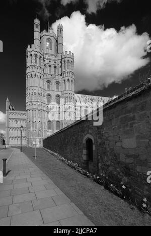 Blick auf die Kathedrale von Ely; Ely City; Cambridgeshire; England; Großbritannien Stockfoto