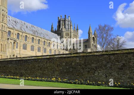 Blick auf die Kathedrale von Ely; Ely City; Cambridgeshire; England; Großbritannien Stockfoto