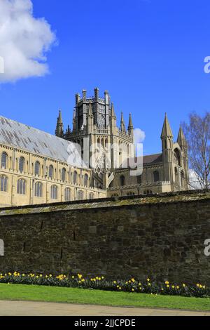 Blick auf die Kathedrale von Ely; Ely City; Cambridgeshire; England; Großbritannien Stockfoto