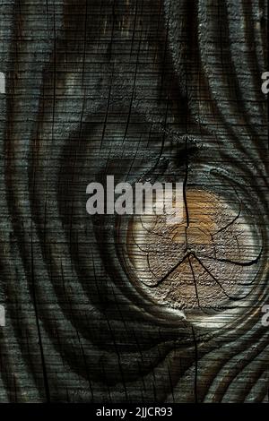 Nahaufnahme der strukturierten Holzoberfläche mit natürlichen Mustern und Korndetails Stockfoto