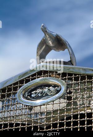 Abzeichen und Quail Car Maskottchen eines Ford Vintage Motor Car aus dem Jahr 1930, Christchurch, Großbritannien Stockfoto