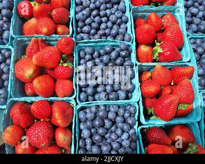 Frische Bio-Himbeeren und Heidelbeeren in Körben auf dem Eugene Saturday Market Stockfoto