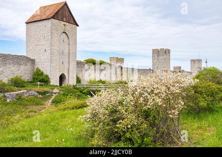 Visby Stadtmauer (Visby Ringmur Visby Ringmauer) rund um die mittelalterliche Stadt Visby auf der Insel Gotland in der Ostsee vor Schweden Stockfoto