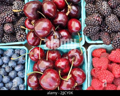 Frische Bio-Brombeeren Heidelbeeren Himbeeren und Kirschen in Körben auf eugene samstagsmarkt Stockfoto