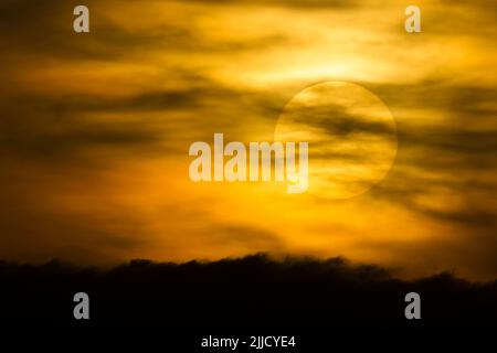 Landschaftsansicht des Sonnenuntergangs über reedbed in Silhouette, Kiskunfélegyháza, Ungarn im Februar. Stockfoto