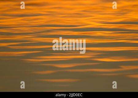 Landschaftsansicht der goldenen Wasserwellen bei Sonnenuntergang, Earlswood Lakes, Warwickshire, Großbritannien im März 2013. Stockfoto