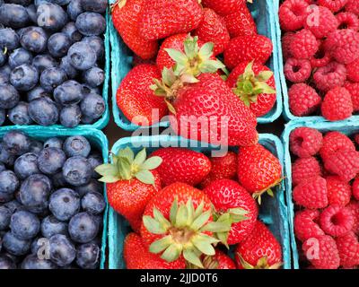 Frische Bio-Heidelbeeren Erdbeeren Himbeeren in Körben auf eugene samstagsmarkt Stockfoto