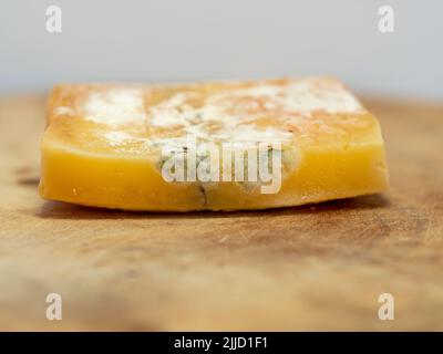 Pilz, weißer Schimmel auf gelbem Käse, Nahaufnahmen von Makroaufnahmen, viele Details Stockfoto