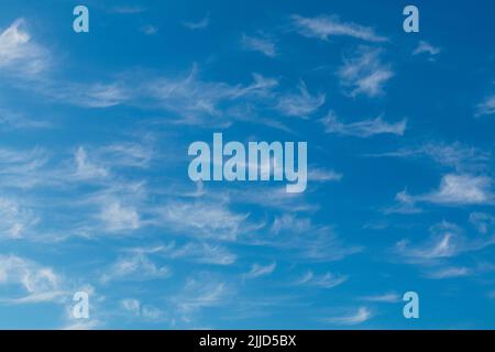 Außergewöhnliche Ausstellung von Cirrus Cloud an einem frühen Juliabend in Großbritannien Stockfoto