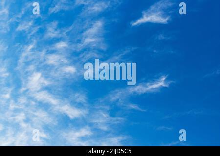 Außergewöhnliche Ausstellung von Cirrus Cloud an einem frühen Juliabend in Großbritannien Stockfoto