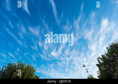 Außergewöhnliche Ausstellung von Cirrus Cloud an einem frühen Juliabend in Großbritannien Stockfoto